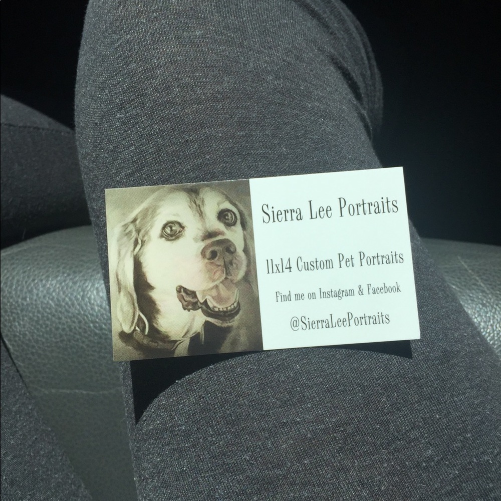 Pet portraits